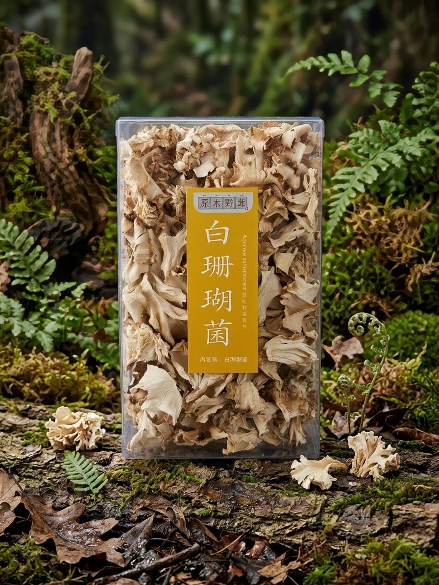 白珊瑚菌
